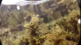 1667378862qgapl-640×480-1