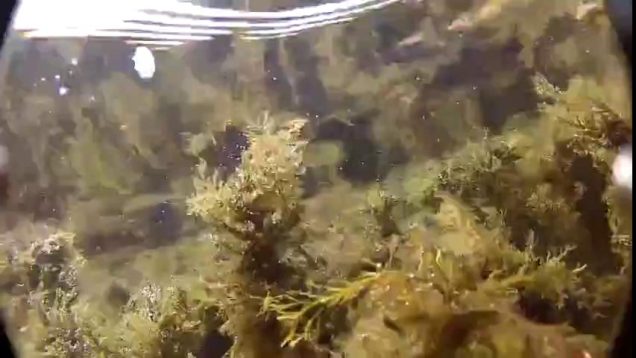 1667378862qgapl-640×480-1