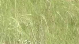 16673790322usxf-640×480-1