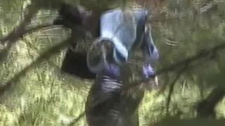 1667379065pc66v-640×480-1