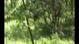 1667379520comh6-640×480-1