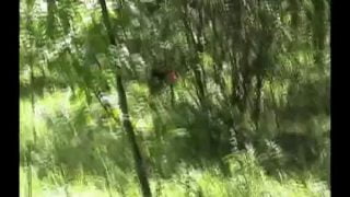 1667379520comh6-640×480-1