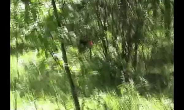 1667379520comh6-640×480-1