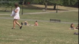 1667379698qv048-640×480-1