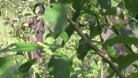 1667380223dk5gu-640×480-1