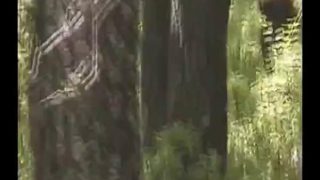 1667380245qjk8b-640×480-1