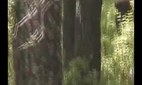 1667380245qjk8b-640×480-1