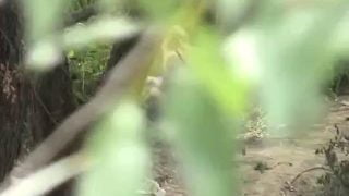 1667380286tf33l-640×480-1