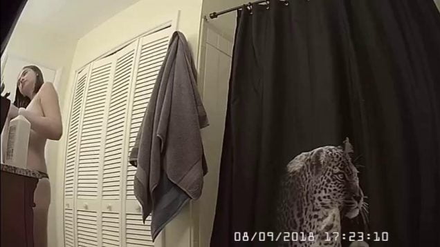 1667389635g1zdv-640×480-1