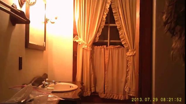 1667394950w34vr-640×480-1