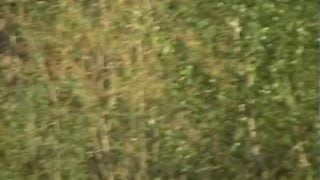 16674799413bnp4-640×480-1