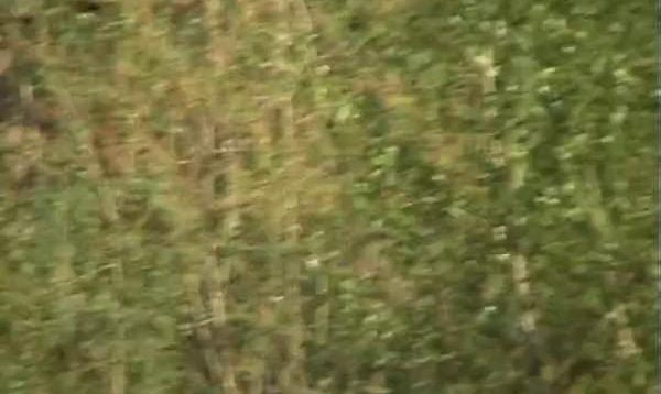 16674799413bnp4-640×480-1