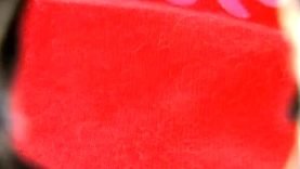 1667484215wvrau-640×480-1