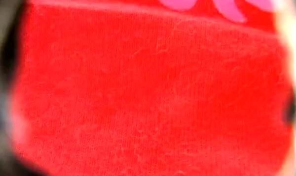 1667484215wvrau-640×480-1