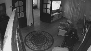 1668175456gaur1-640×480-1