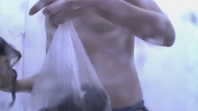 1668457226nps3p-640×480-1