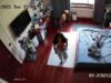 Asian Hacked IP Cam 5_6120849251778954317_(new) voyeur porn