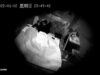 Asian Hacked IP Cam 109 voyeur porn