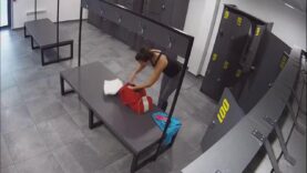 TheHiddenZone hz_33382