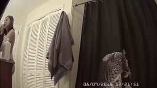 TheHiddenZone hz_33381