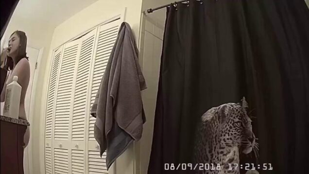 TheHiddenZone hz_33381