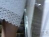 Upskirt-Times Ut_2952 video