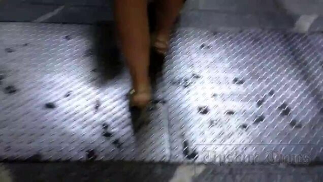 Upskirt-Times Ut_3120 video