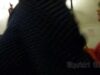Upskirt-Times Ut_3137 video